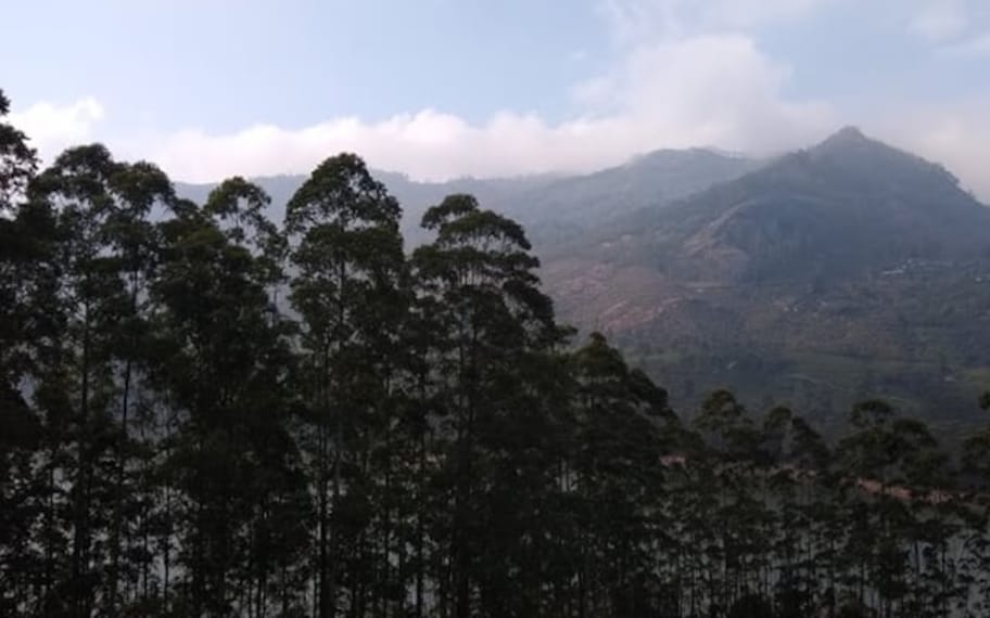 Photo Point Activities Landscape Image